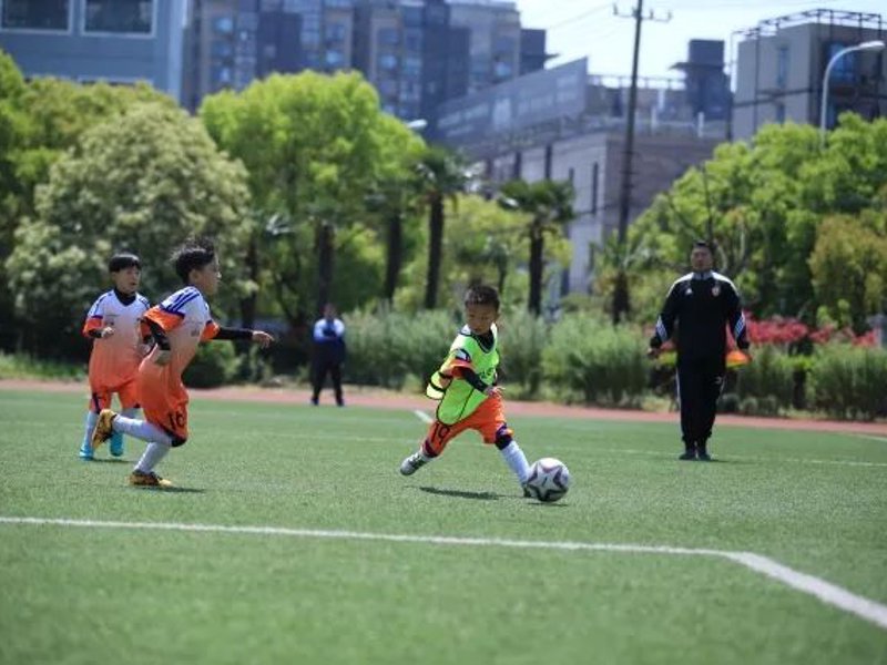 走进龙8头号玩家